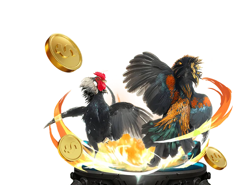 Hình ảnh về quy định chơi công bằng và có trách nhiệm tại ku11 kubet